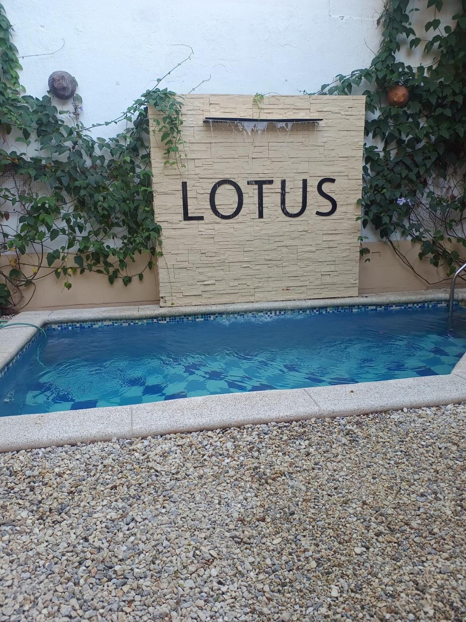 Lotus Central Hotel Santa Marta (Magdalena) Exterior foto